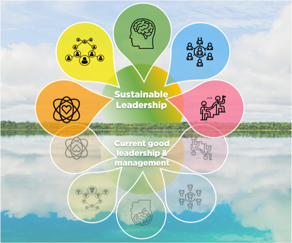 sustainability leaders